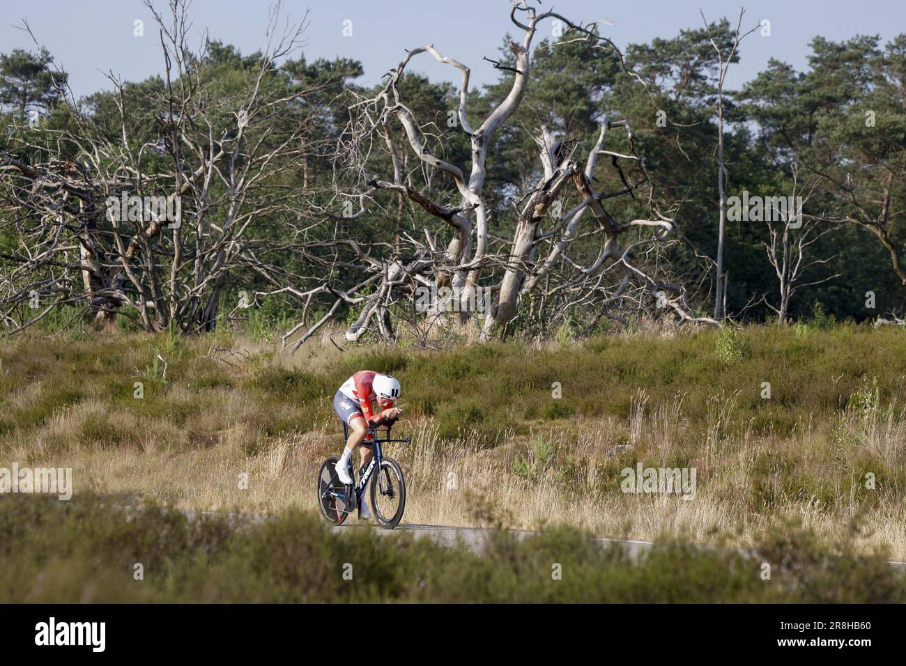 ELSPEET - ciclista Daan Hoole durante il campionato olandese a cronometro. I cavalieri hanno percorso due giri di circa 20 chilometri tra i prati e i sentieri forestali del Veluwe. ANP BAS CZERWINSKI Foto Stock