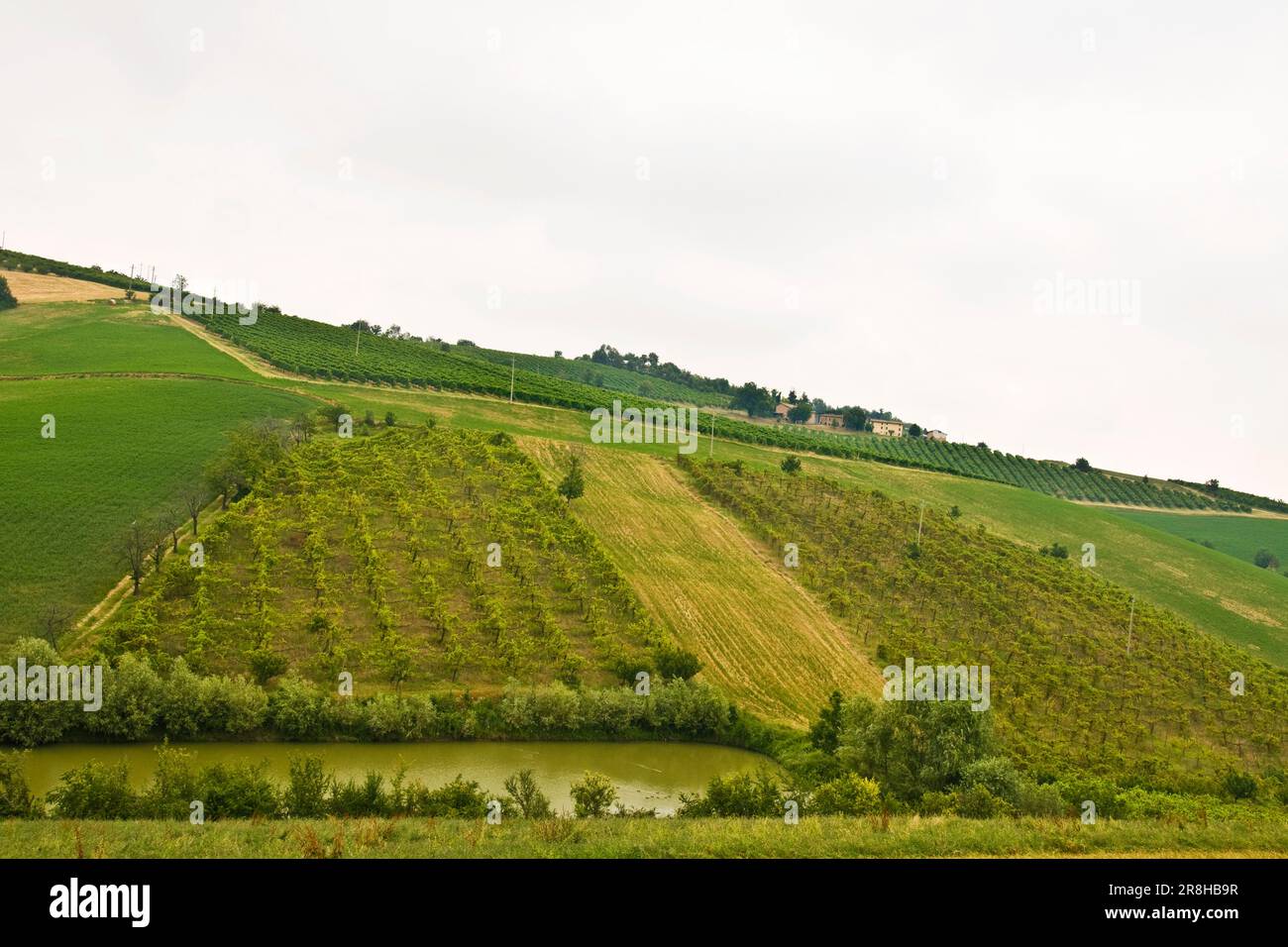 Appennino toscano emiliano. Emilia Romagna. Italia Foto Stock