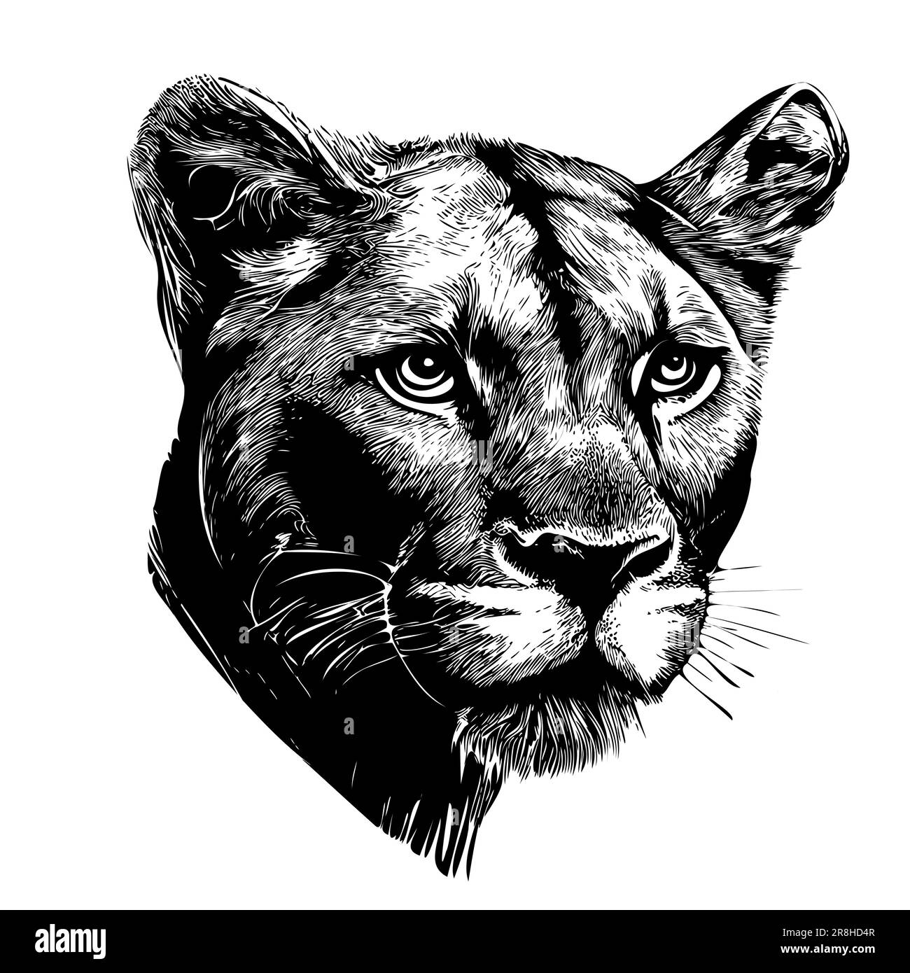Disegno a mano della testa senza leoni Animali selvatici Illustrazione Vettoriale