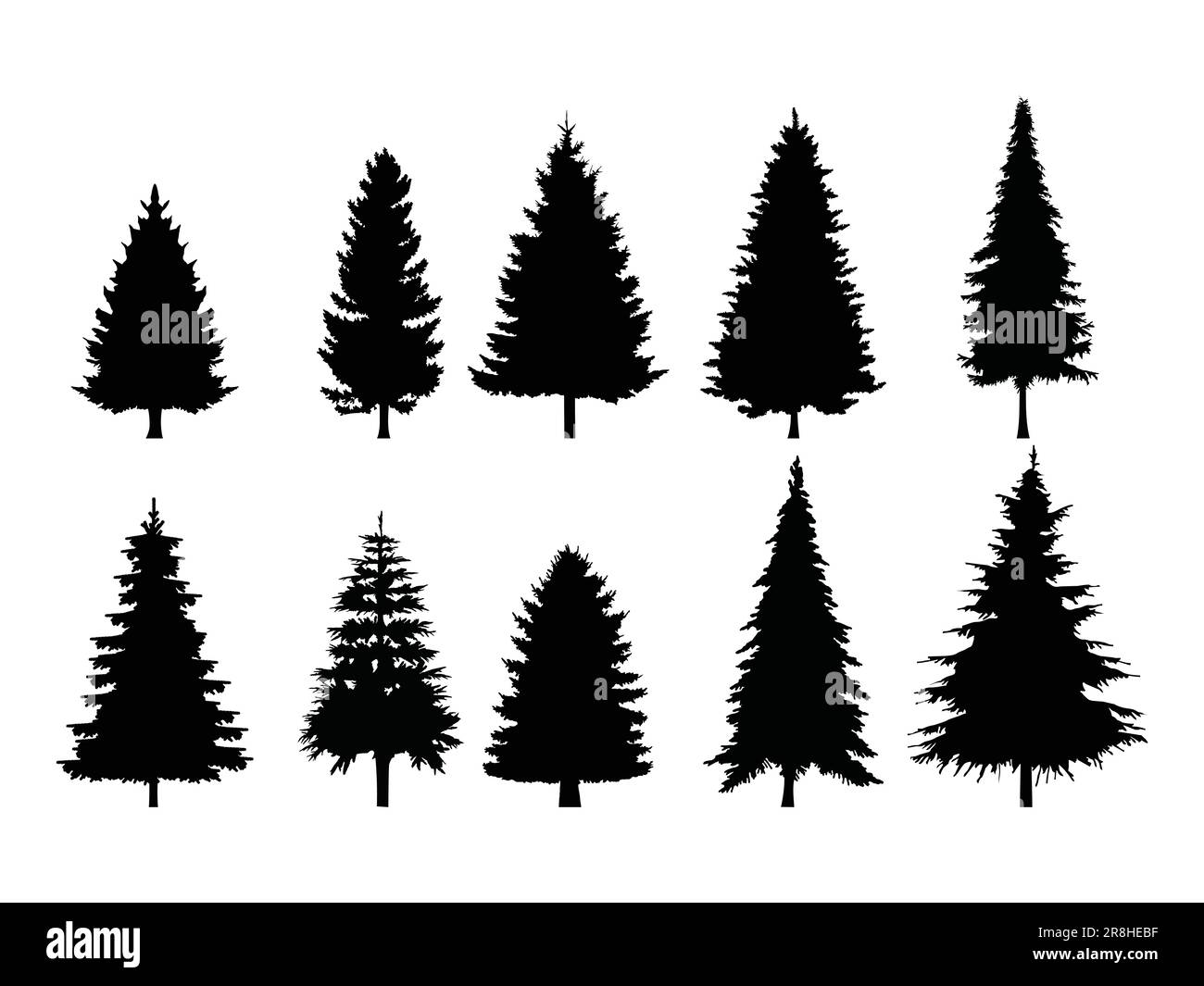 Serie di alberi di pino con silhouette isolata su uno sfondo bianco. Illustrazione vettoriale. Illustrazione Vettoriale
