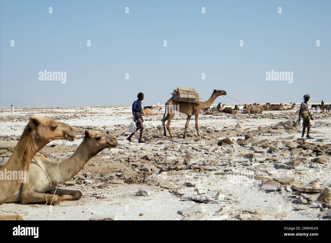 Sale Salt Lake. Danakil. Etiopia Foto Stock