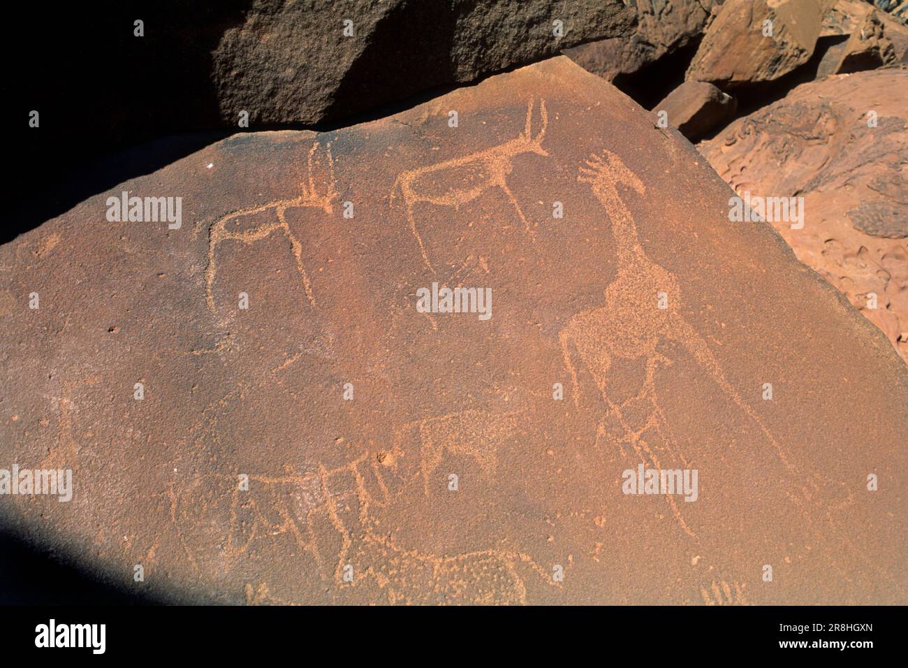 Namibia. Rocky Graffiti. Twyfelfontein Foto Stock