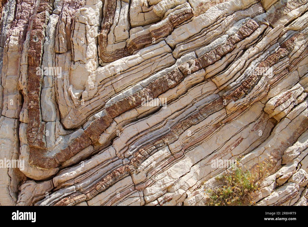 Pietra calcarea piegata a Creta, Grecia, primo piano Foto Stock