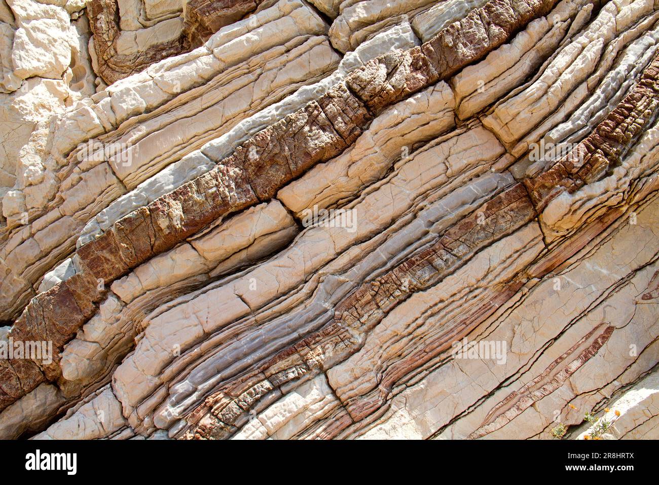 Pietra calcarea piegata a Creta, Grecia, primo piano Foto Stock