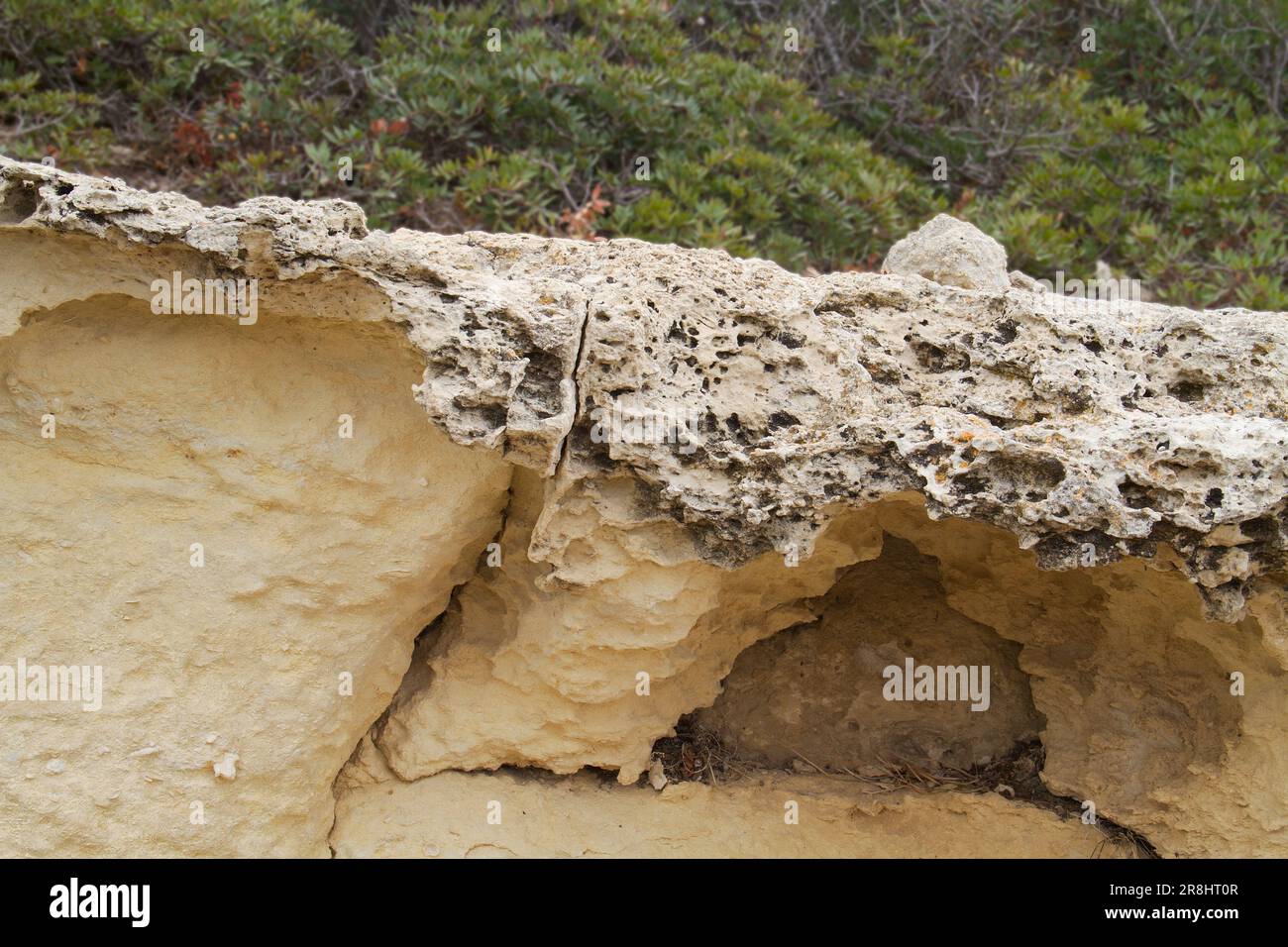 Il clima a nido d'ape di calcare sabbioso vicino alla costa di Creta, Grecia, formando un sottile strato sopra il calcare Foto Stock