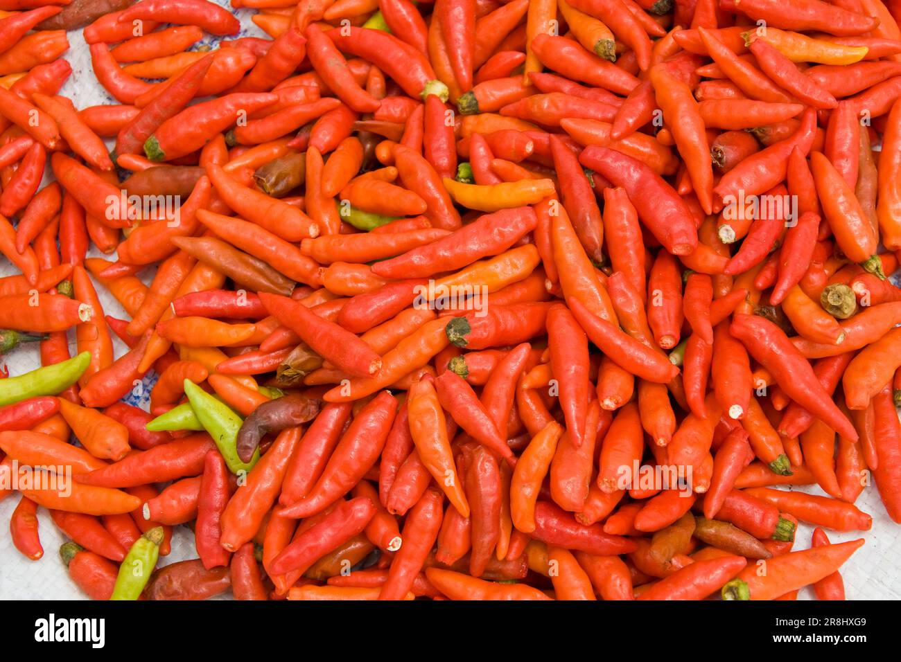 Peperone caldo. Mercato. Terre Dorze. Chencha. Etiopia Foto Stock