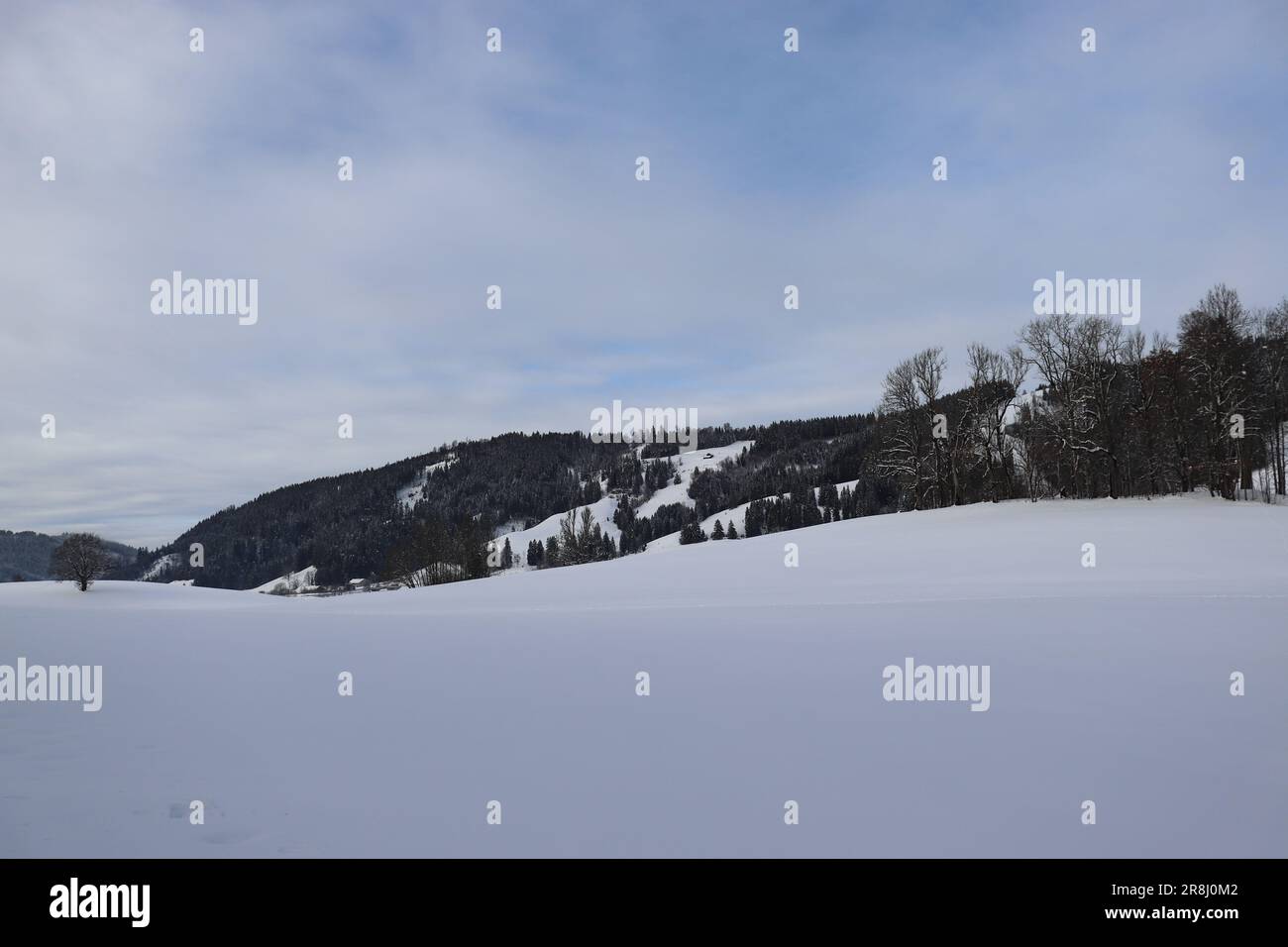 La bella natura. Inverno in montagna/Allgau. Germania Foto Stock