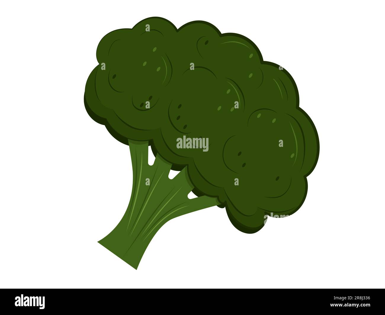 Icona del vettore broccoli isolata su sfondo bianco. Verdure fresche, cibo sano fattoria. Illustrazione Vettoriale