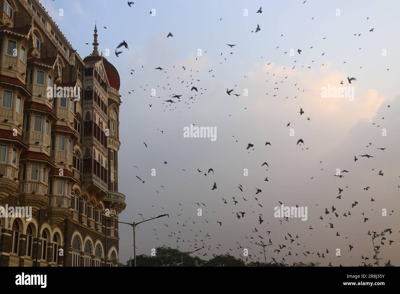 Mumbai (Bombay) - India Foto Stock