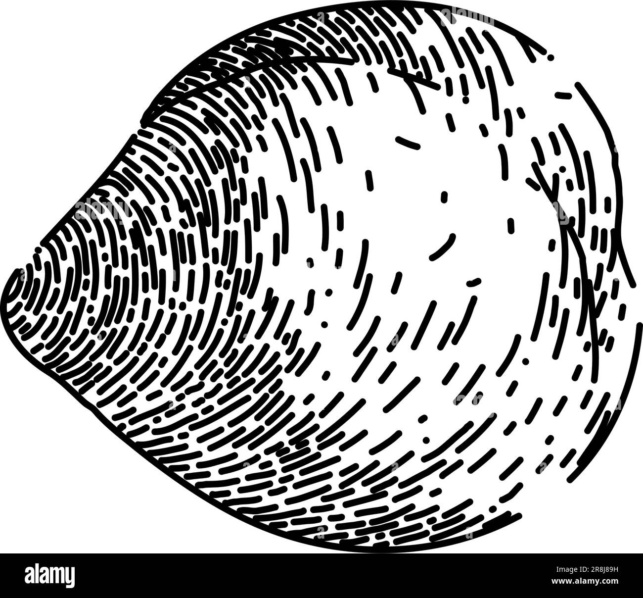 chickpea hummus pea schizzo vettore disegnato a mano Illustrazione Vettoriale