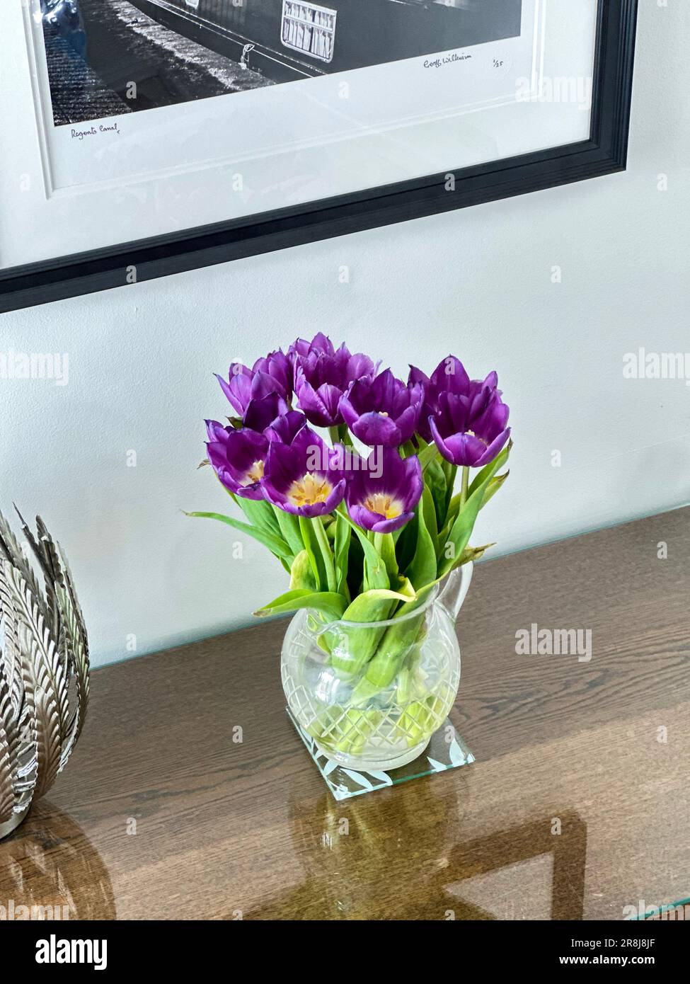 Tulipani Didiers su un tavolo hall con tetto in vetro Foto Stock