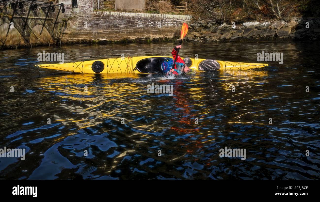 Kayak che esegue un rollio di kayak Foto Stock