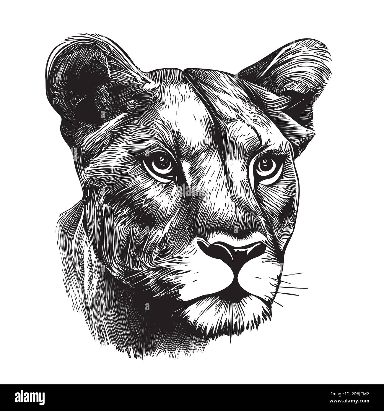 Faccia senza leoni disegno disegnato a mano Animali selvatici disegno vettoriale Illustrazione Vettoriale