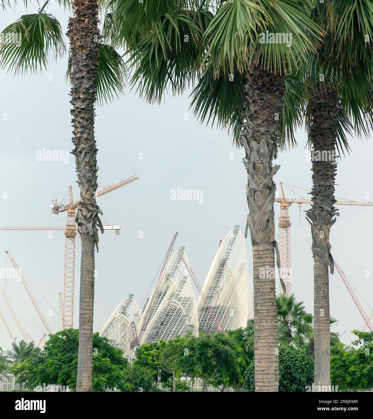 Costruzione del Museo Nazionale Zayed sull'Isola di Saadiyat, Abu Dhabi, Emirati Arabi Uniti Foto Stock