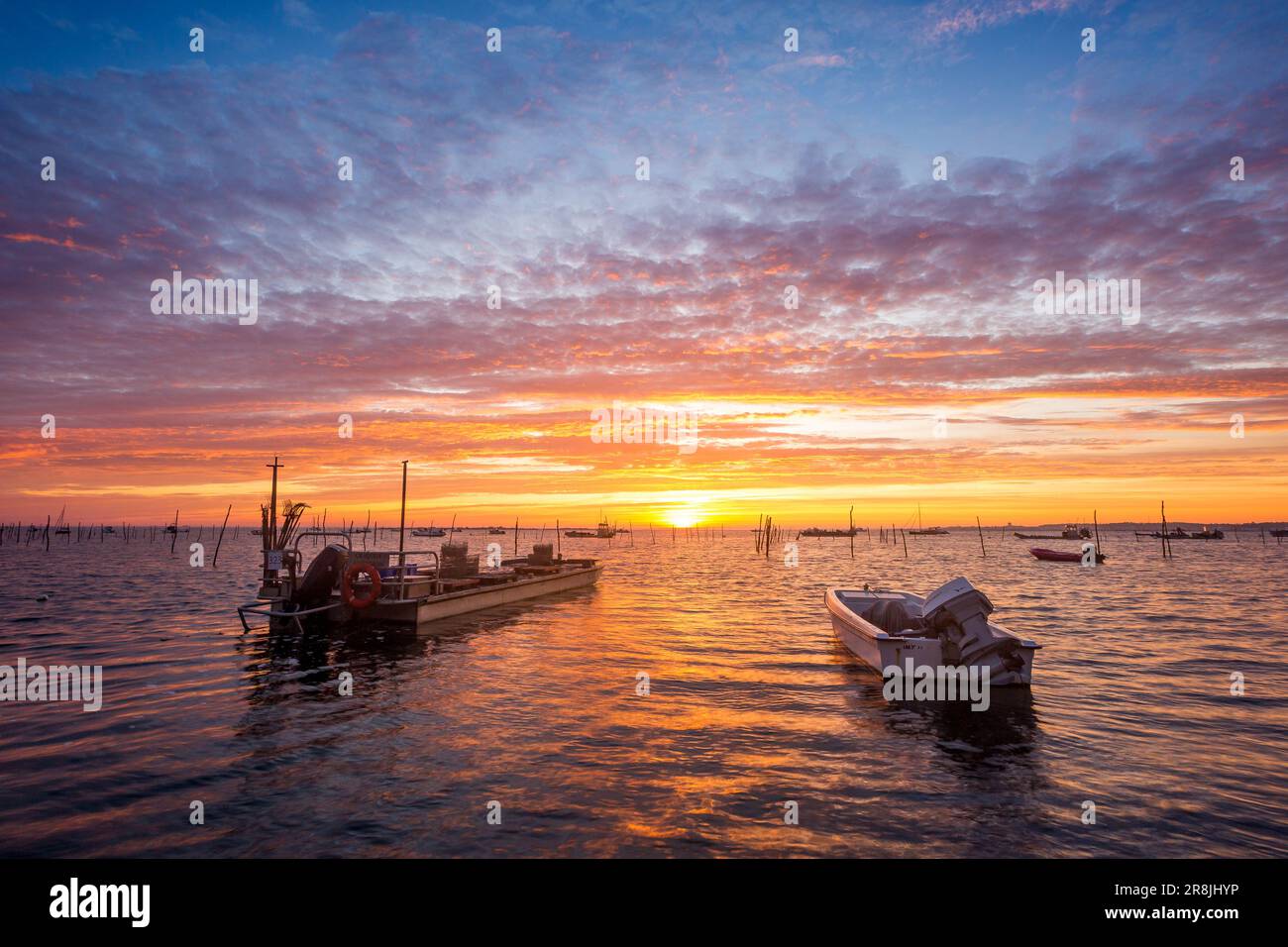 FRANCIA. GIRONDE (33) BACINO DI ARCACHON. TRAMONTO CON LE BARCHE A FONDO PIATTO DEGLI AGRICOLTORI OYSTER IN PRIMO PIANO Foto Stock