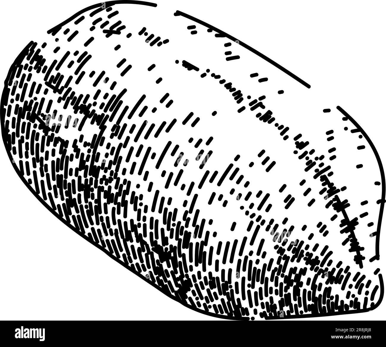 arachidi secchi per alimenti disegno vettore disegnato a mano Illustrazione Vettoriale