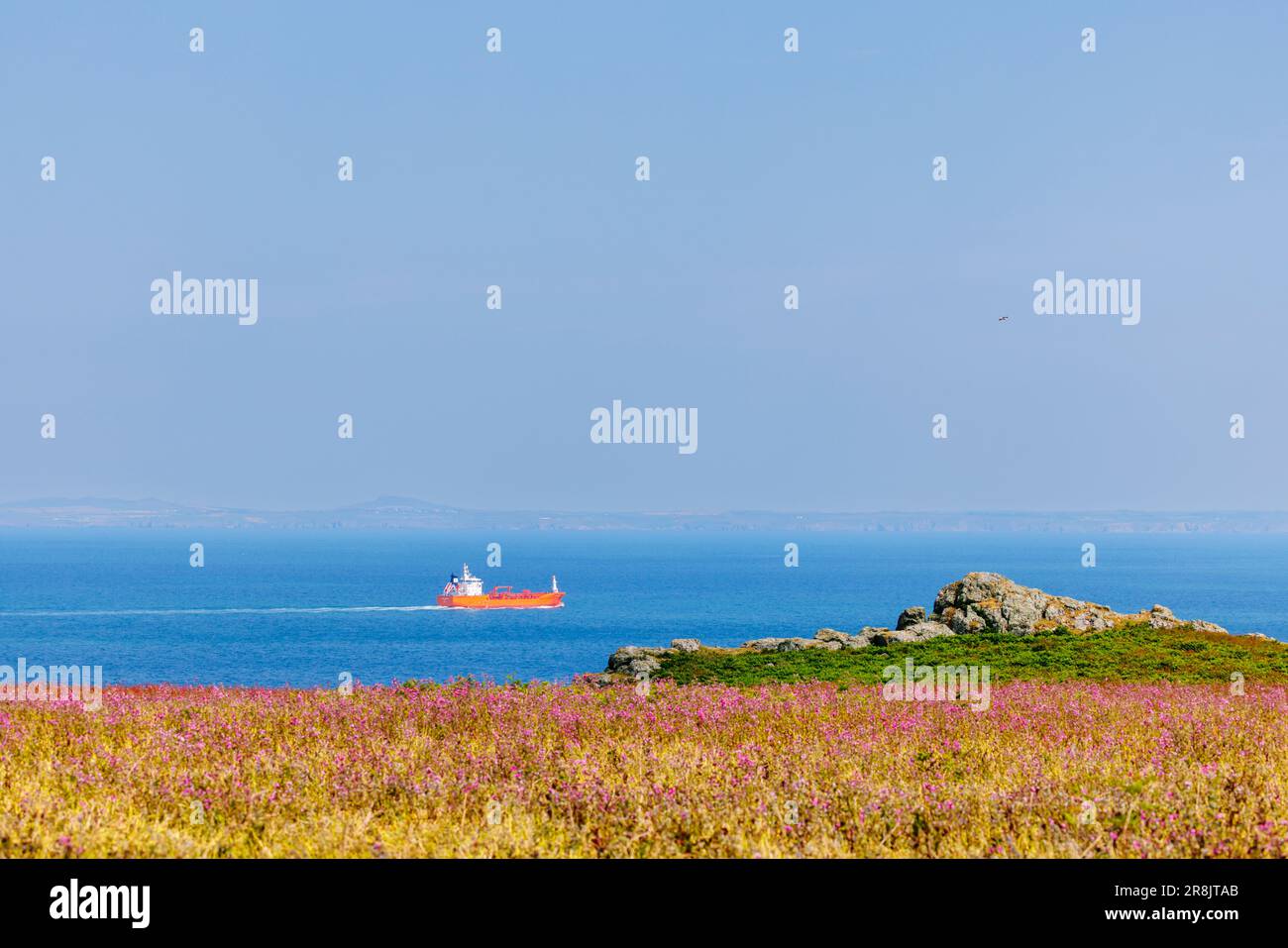 La petroliera Ursula Essberger al largo della costa di Skomer, un'isola del Pembrokeshire, vicino a Marloes e St Brides nel Galles occidentale, famosa per la sua fauna selvatica Foto Stock