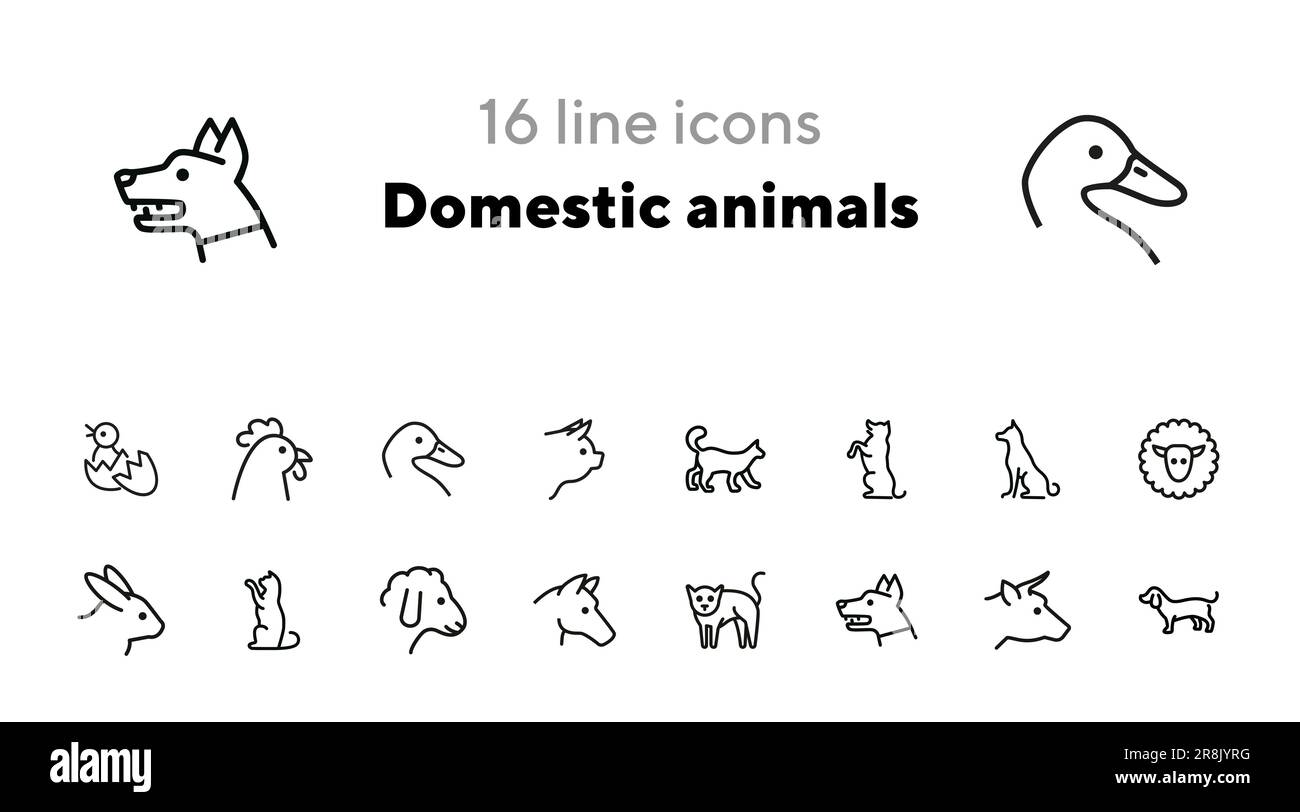 Animali domestici icone Illustrazione Vettoriale