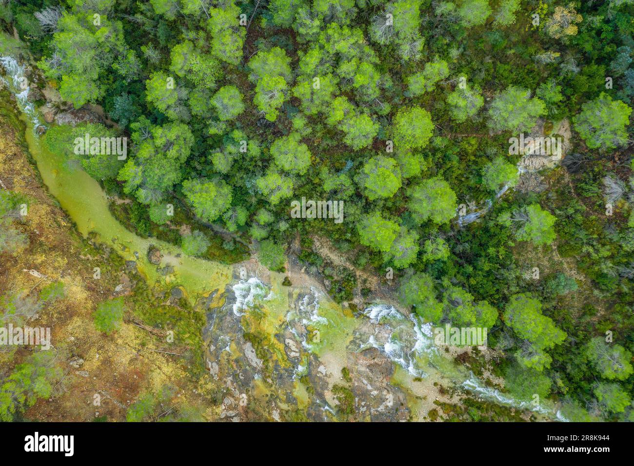 Vista aerea Zenithal del fiume Algars, nel parco naturale Els Ports / Los Puertos, con un grande flusso dopo le piogge pesanti (Terra alta, Tarragona, Spagna) Foto Stock