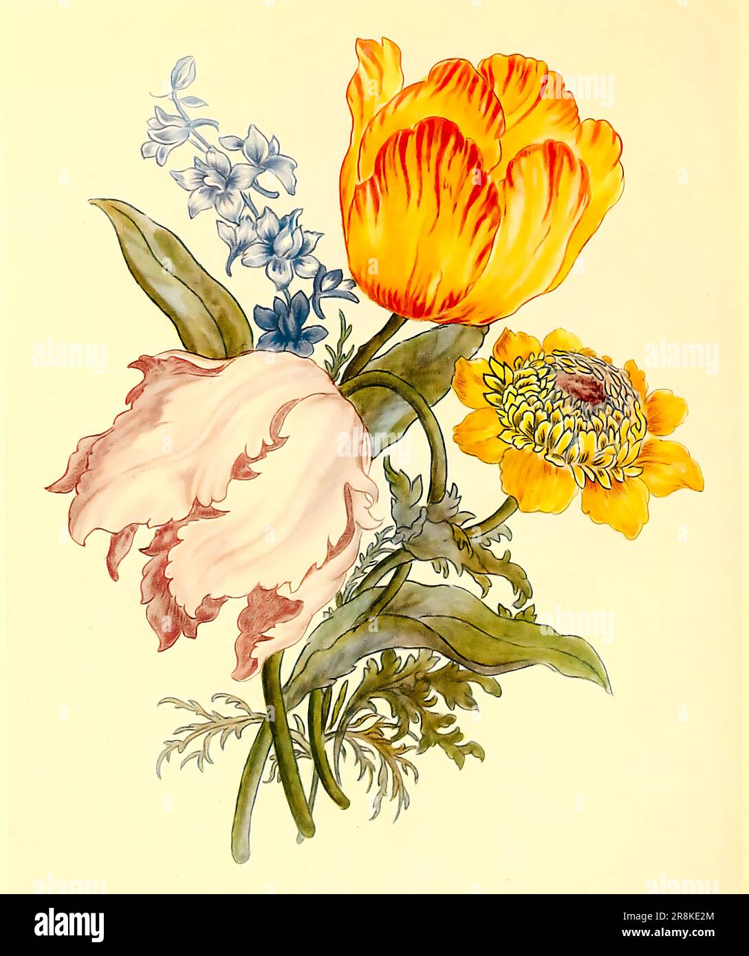 Mattonelle dipinte con un bouquet di tulipani, un anemone e larkspur in  giallo, marrone rossastro, verde, blu e porpora manganese dei grandi pochi  su un terreno bianco. Non contrassegnato. Delft circa 1700.