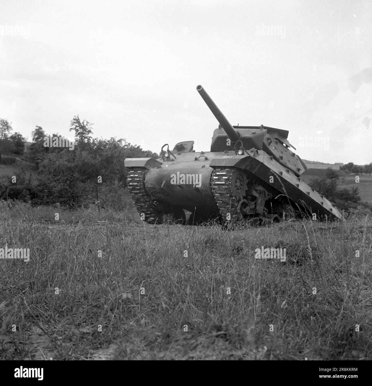M10 Wolverine - Französisches Heer / forze terrestri francesi (Esercito) / Armée de terre / Troupes Coloniales / Troupes de Marine - Panzerjäger M10 / US Tank Destroyer M10 Wolverine / Chasseur de Chars M10 Wolverine Foto Stock