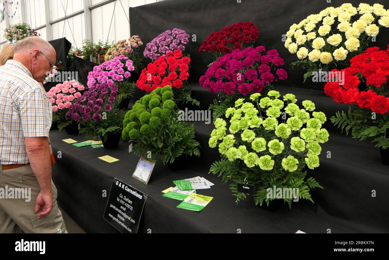 BBC Food and Gardens, Birmingham, Regno Unito 2023 Foto Stock