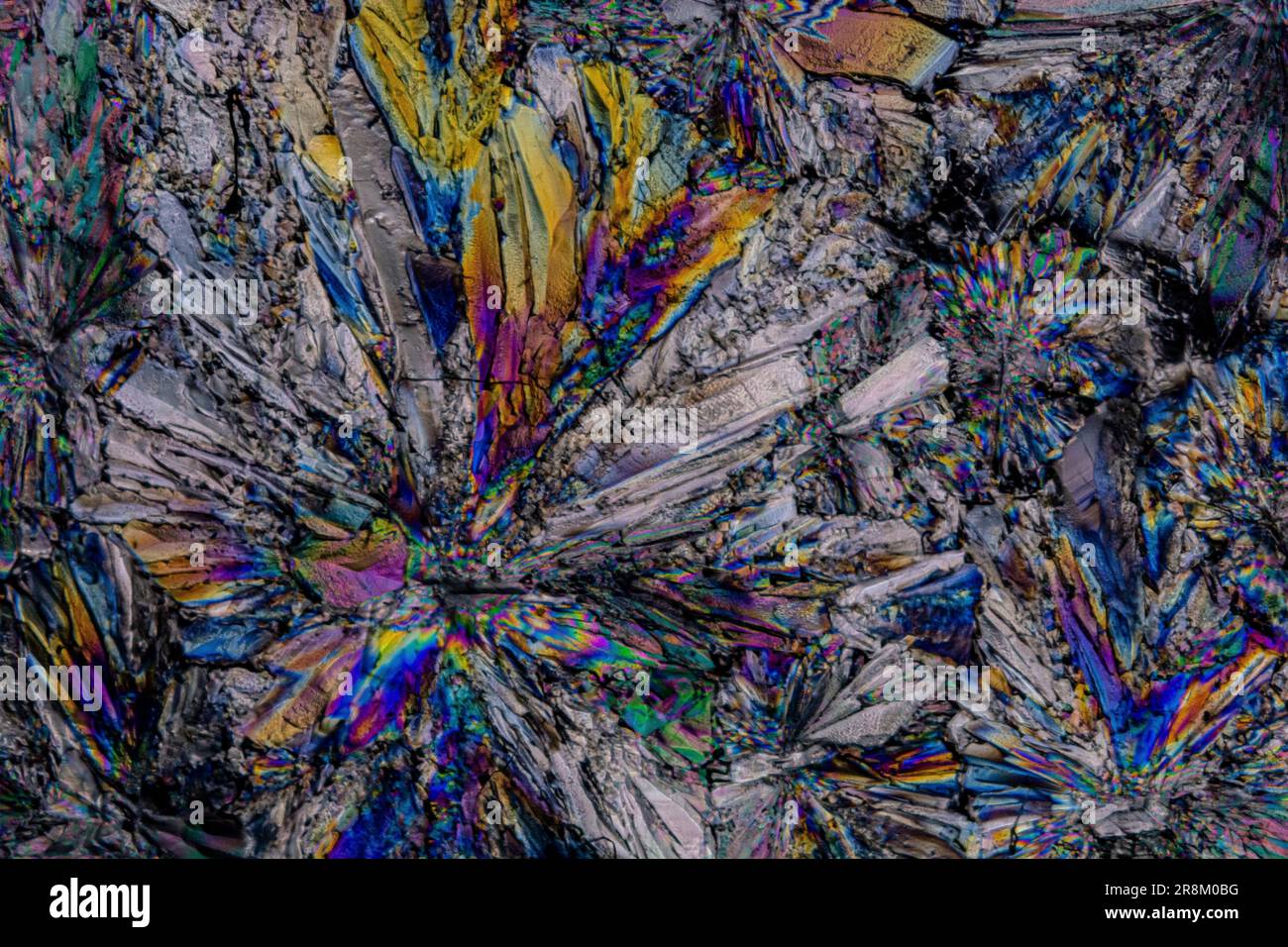 Cristalli di zucchero fotografati con luce polarizzata a grande ingrandimento, creando una tavolozza di colori originale Foto Stock