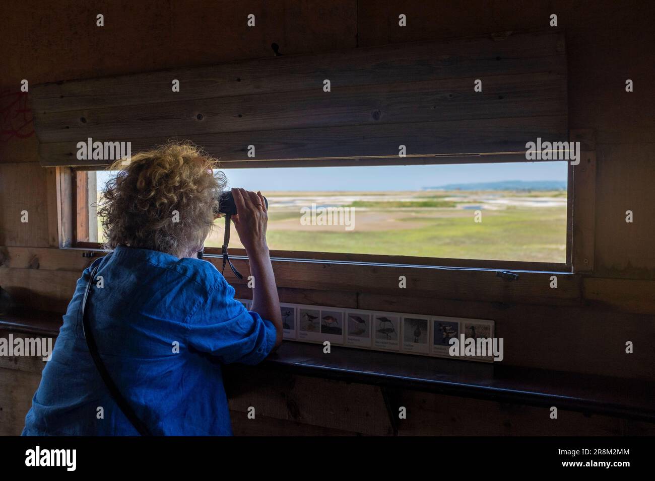 Rye East Sussex , Inghilterra UK - Donna birdwatcher con binocolo guardando fuori Sussex Wildlife Trust Rye Harbour Nature Reserve da una pelle di uccelli Foto Stock