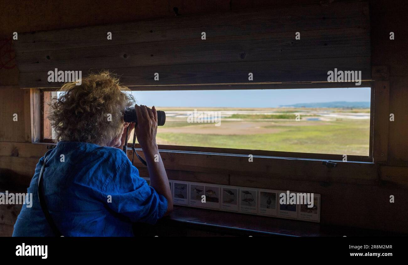 Rye East Sussex , Inghilterra UK - Donna birdwatcher con binocolo guardando fuori Sussex Wildlife Trust Rye Harbour Nature Reserve da una pelle di uccelli Foto Stock