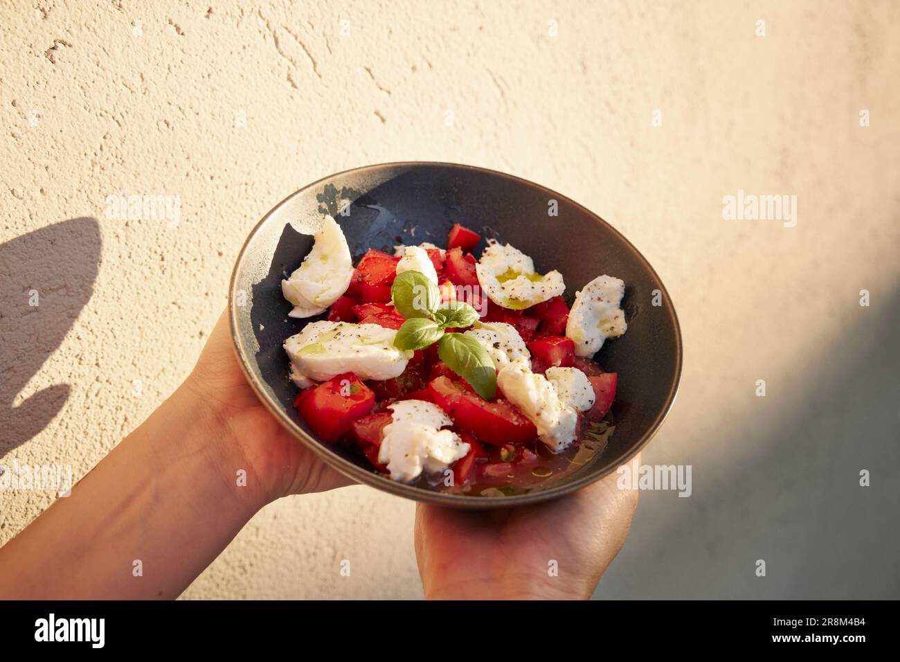 Mani che tengono il recipiente con pomodori e mozzarella Foto Stock