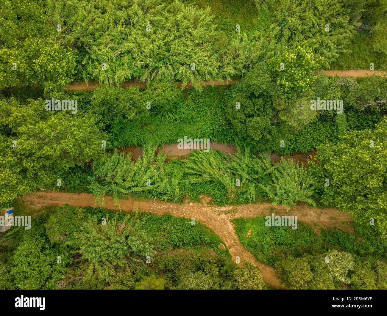 Veduta aerea zenithal del fiume Tenes a Santa Eulàlia de Roncana (Vallès Oriental, Barcellona, Catalogna, Spagna). Esempio: Vista aérea del Río Tenes Foto Stock