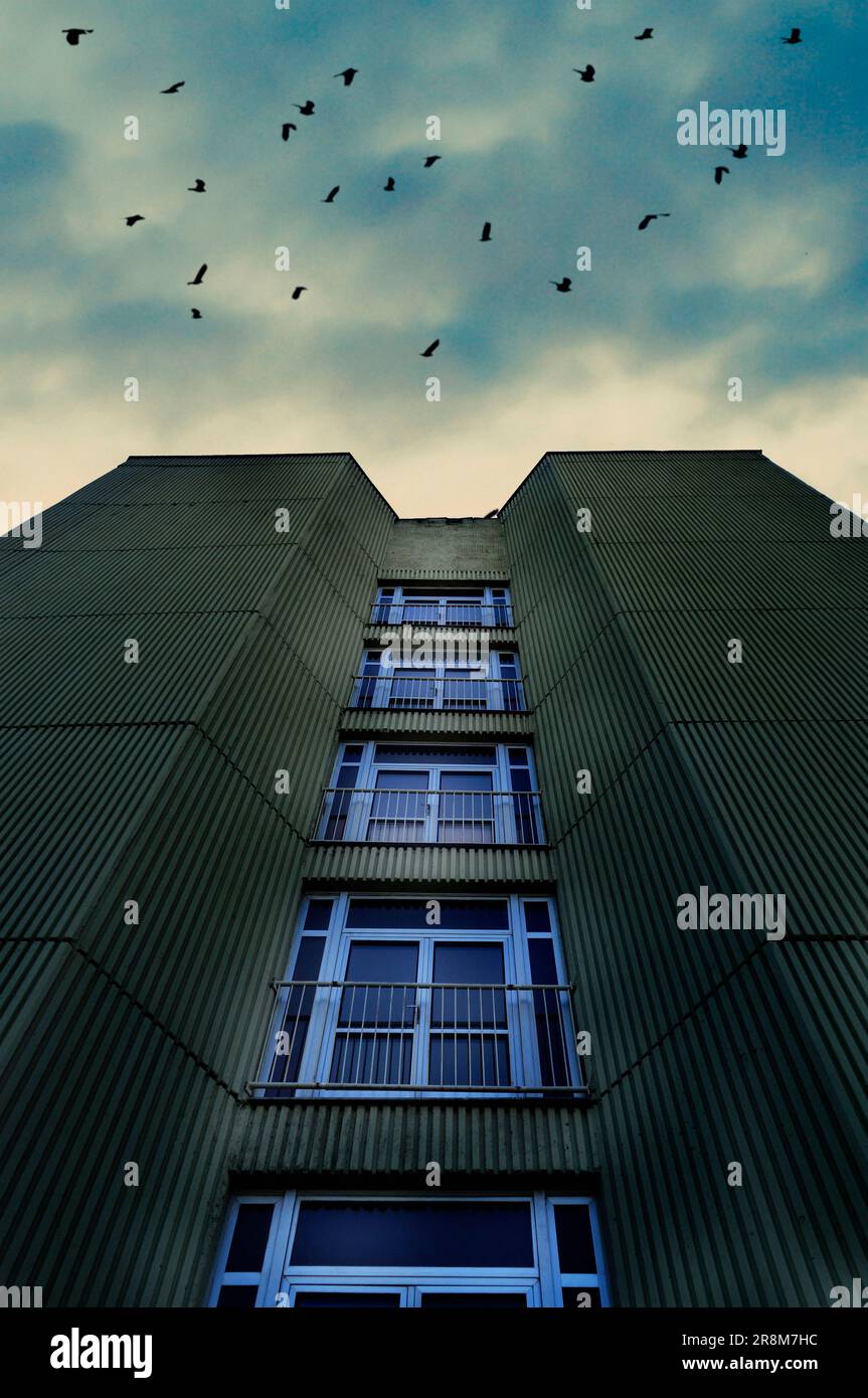 vista da un basso angolo di un edificio moderno e uccelli che vi sorvolano Foto Stock