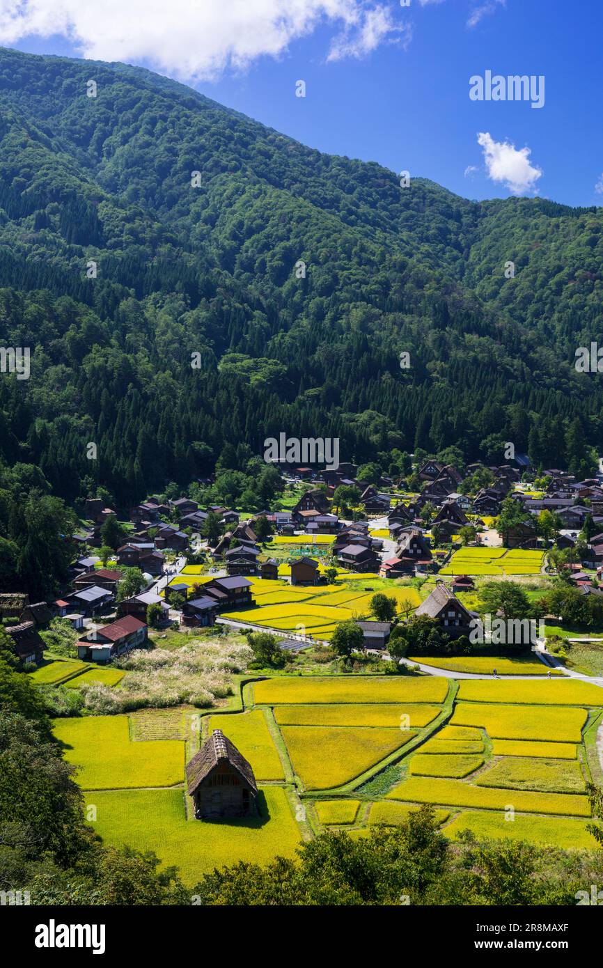 Villaggio di Shirakawago nel colore dorato dell'autunno Foto Stock