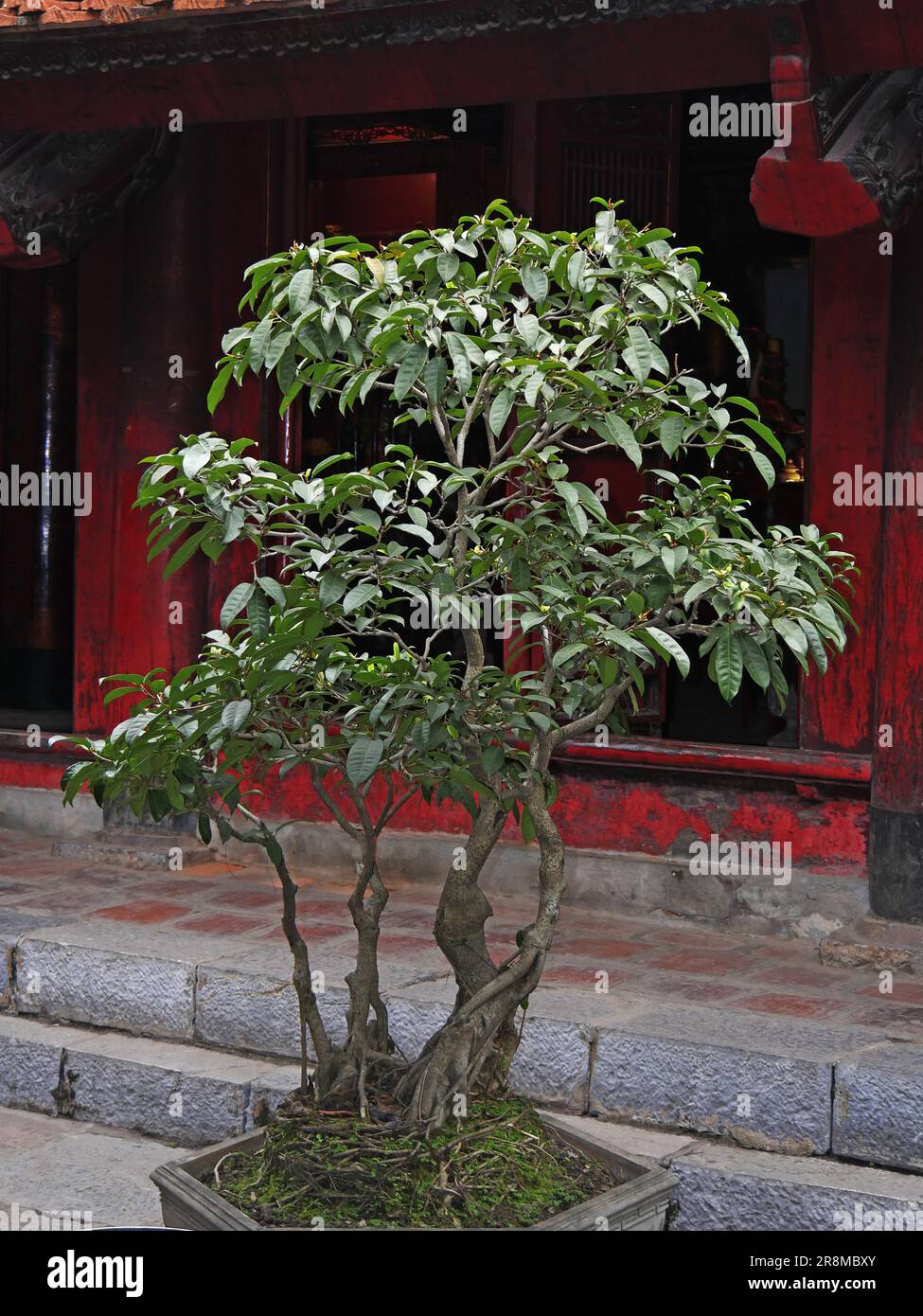 Vietnam, Hanoi, Tempio di Van Lieu, dedicato a Confusio, costruito nel 1070 Foto Stock