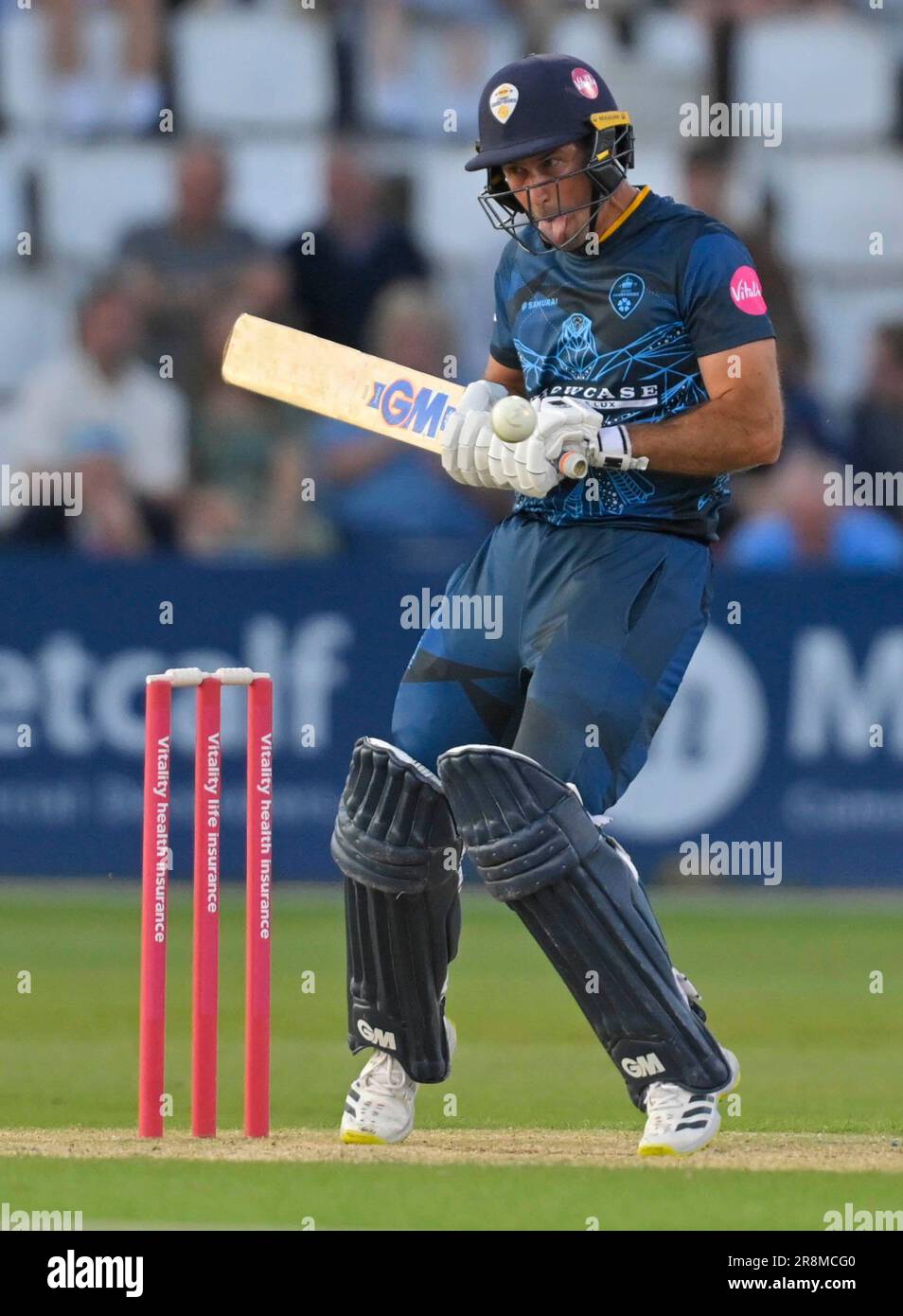 Northampton 21-Giugno 2023 : Wayne Madsen di Derbyshire Falcons durante il Vitality T20 Blast match tra Northamptonshire Steelbacks vs Derbyshire Falcons al County Ground Northampton Inghilterra . Foto Stock