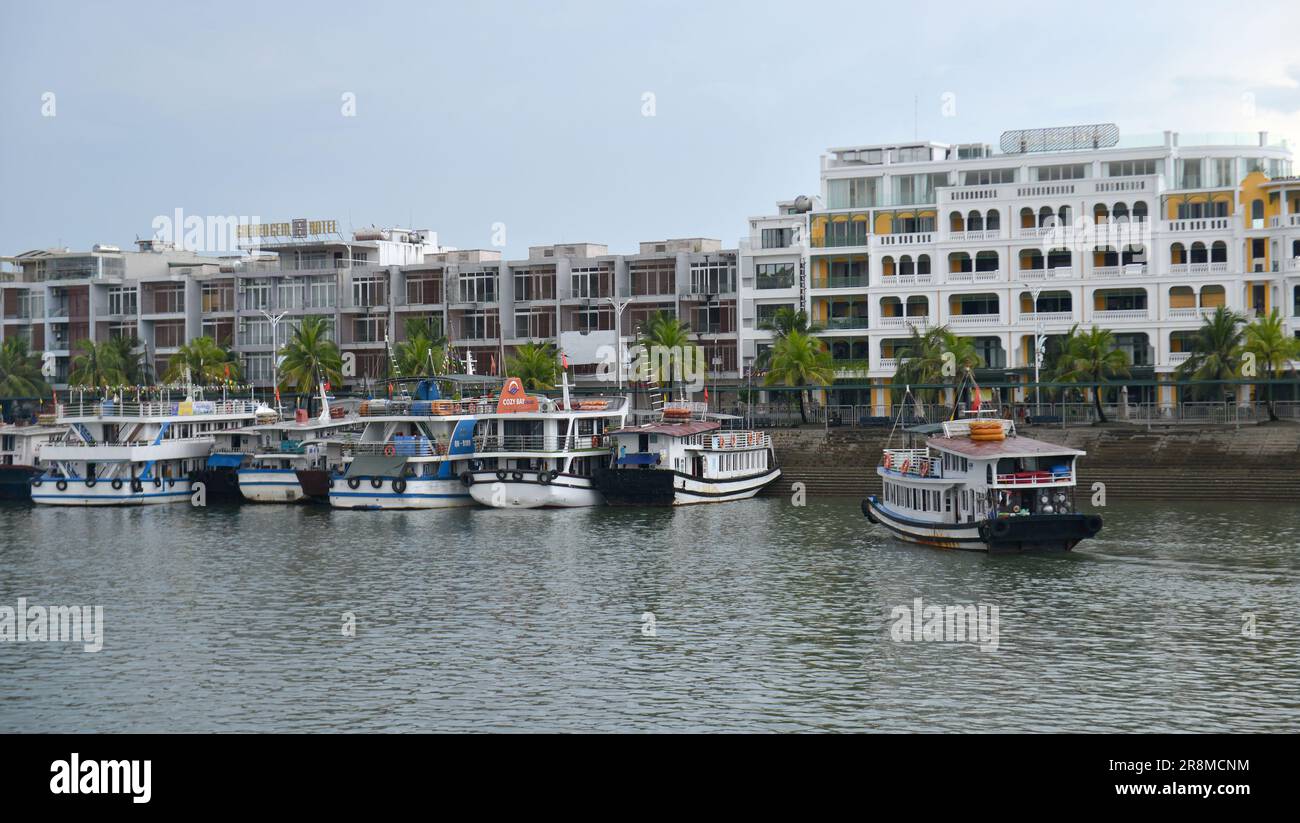 Barche turistiche e tour di lusso sull'isola di Tuan Chau, Vietnam. 越南旅游, वियतनाम पर्यटन, 베트남 관광, ベトナム観光, ឌូលីច វៀតណាម, Foto Stock