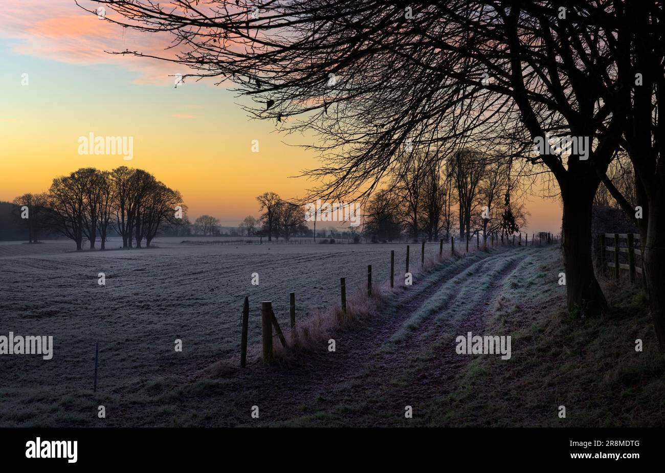 Freddo mattina presto paesaggio dell'Oxfordshire, campi all'alba in gelo Foto Stock