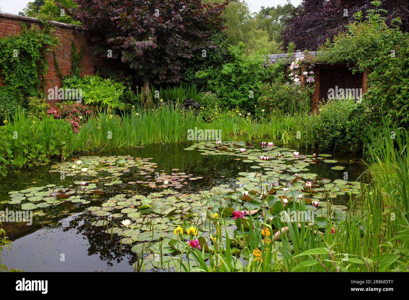 Laghetto con giardino all'inglese, Oxfordshire Foto Stock
