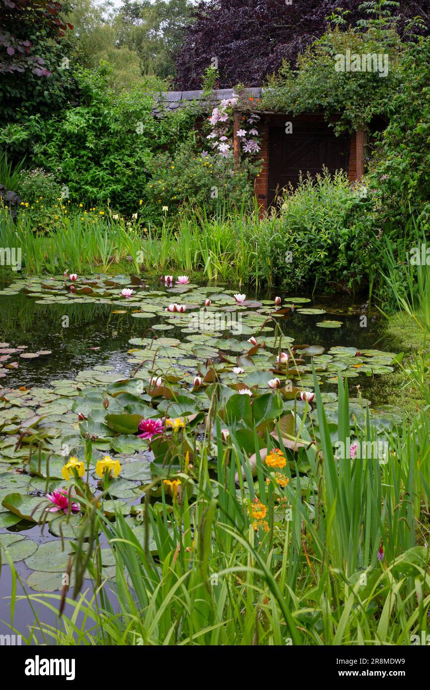Laghetto con giardino all'inglese, Oxfordshire Foto Stock