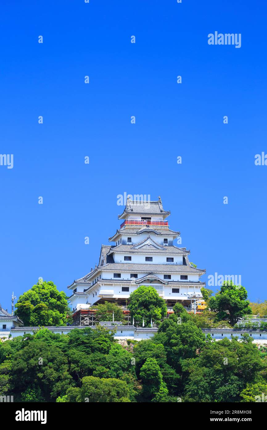 Il castello di Karatsu Foto Stock
