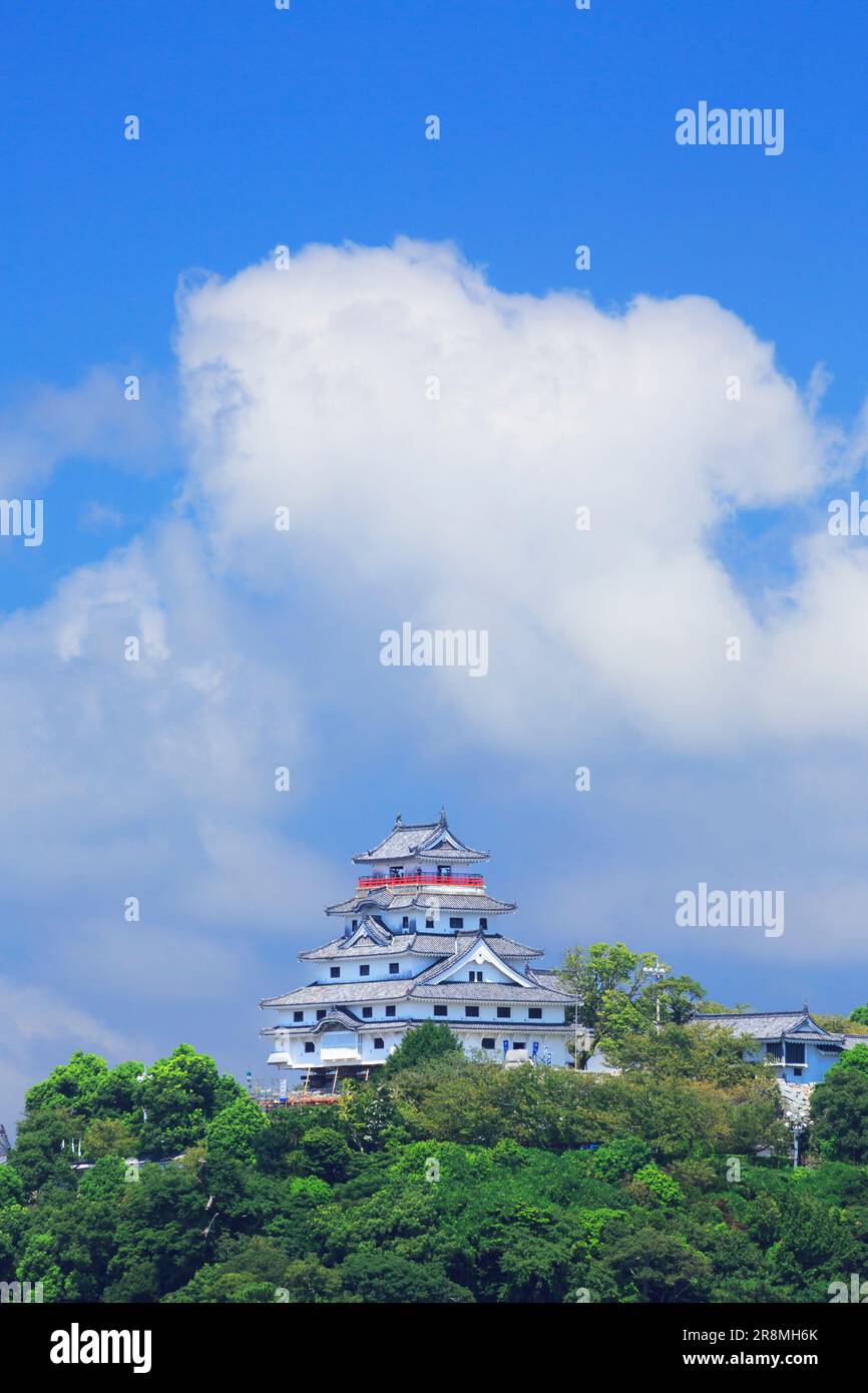 Il castello di Karatsu Foto Stock