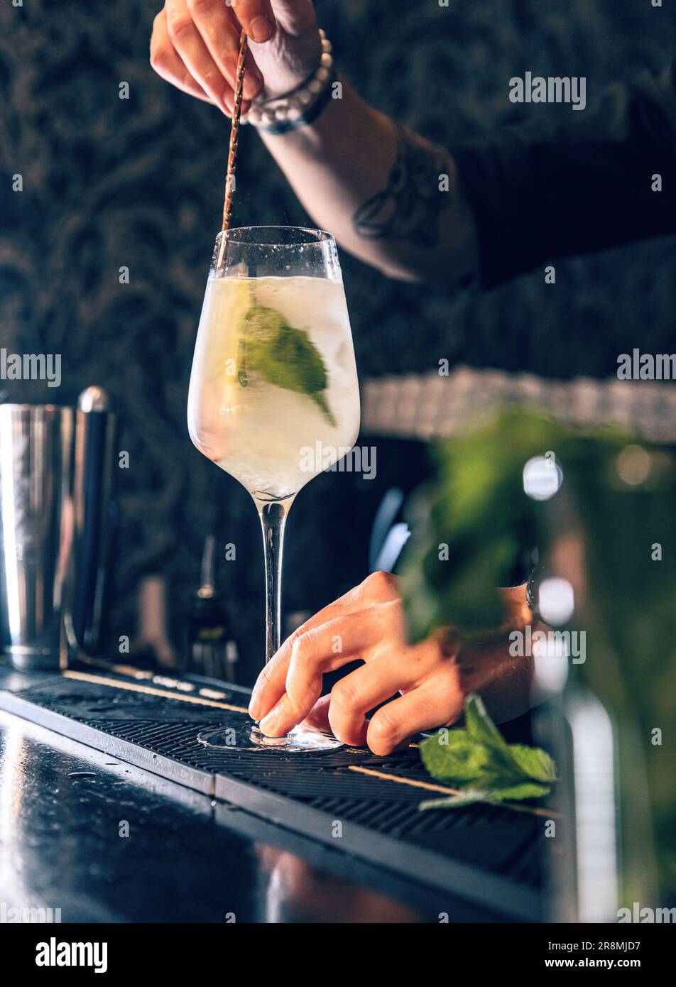 Il barista è cocktail di agitazione sul bancone bar Foto Stock
