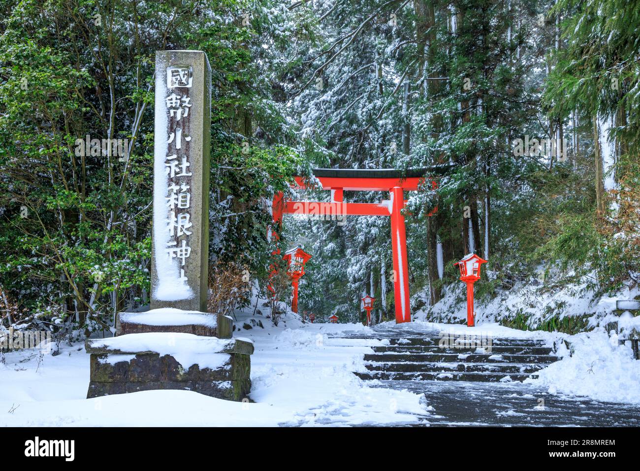 Avvicinatevi al Santuario di Hakone e al cancello torii sulla neve Foto Stock