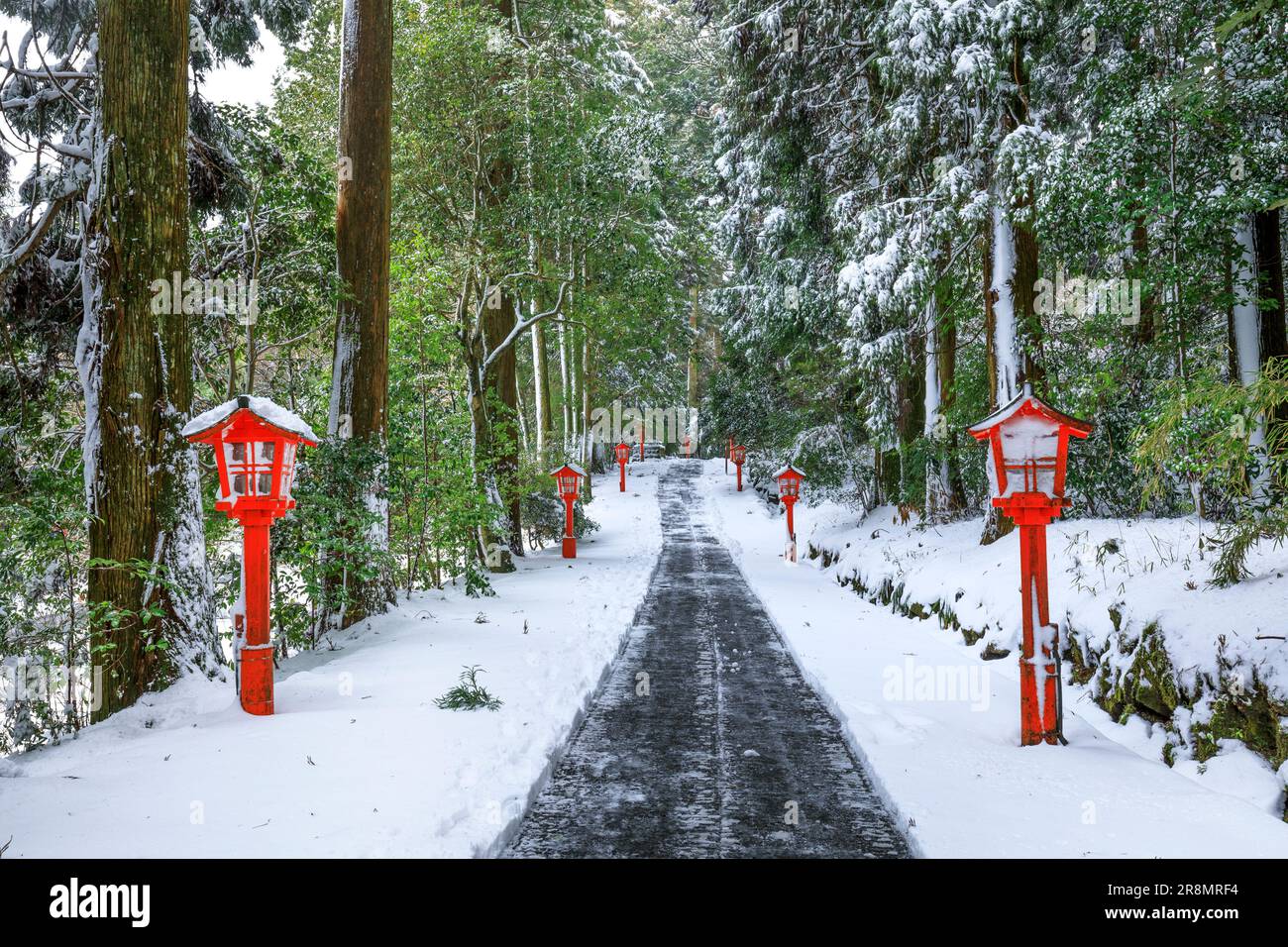 Avvicinatevi al Santuario di Hakone e al cancello torii sulla neve Foto Stock
