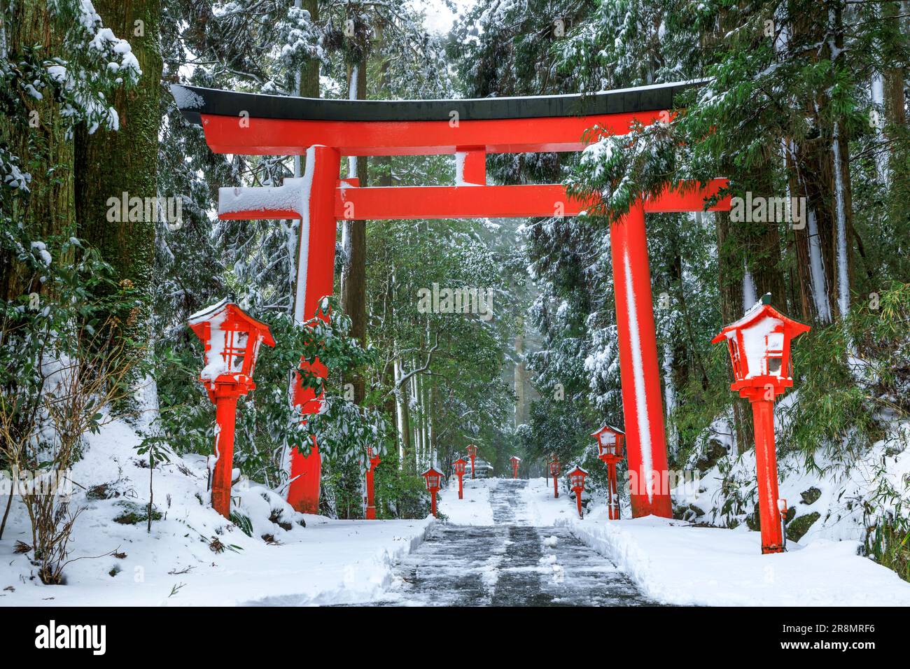 Avvicinatevi al Santuario di Hakone e al cancello torii sulla neve Foto Stock