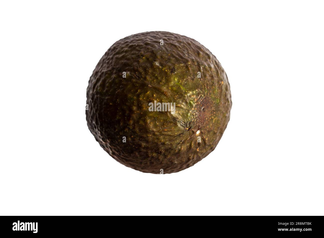 Forma circolare l'intero frutto di avokado su sfondo bianco. Foto Stock
