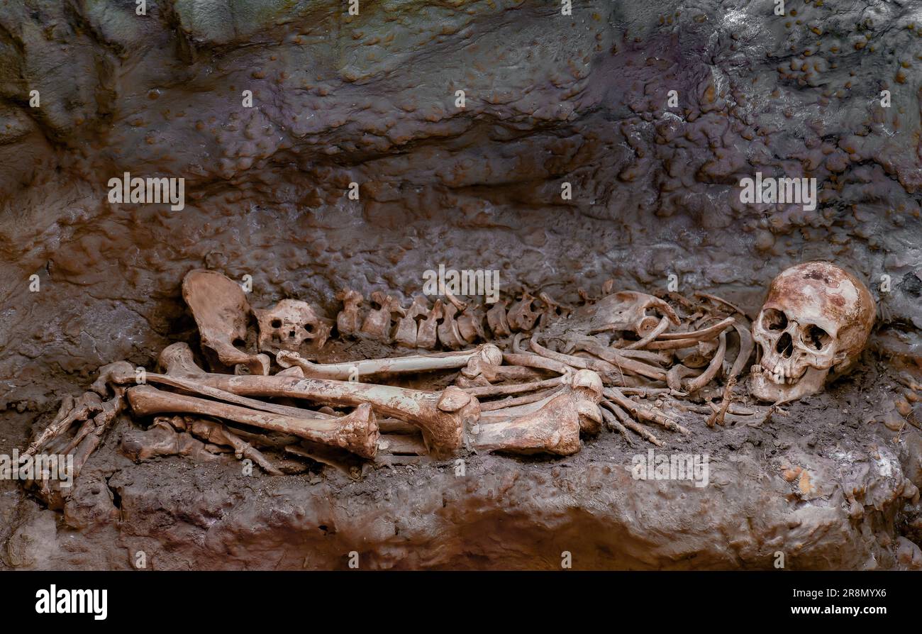 Ronda, malaga, spagna resti umani trovati in una grotta, scheletro, ossa, cranio Foto Stock