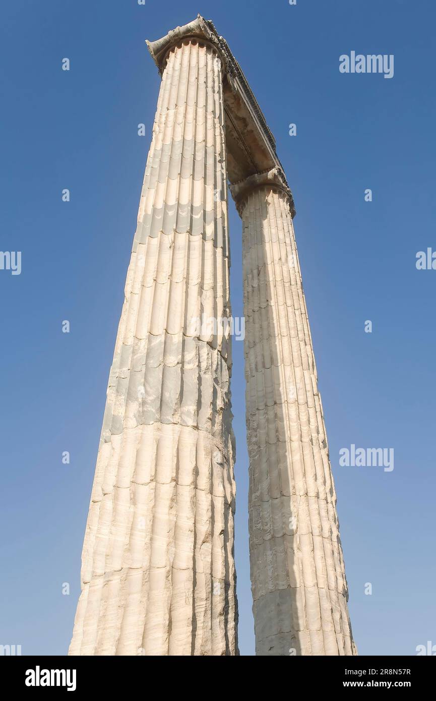 Colonne ioniche, Didyma, Turchia, Tempio di Apollo, Tempio di Apollo Foto Stock
