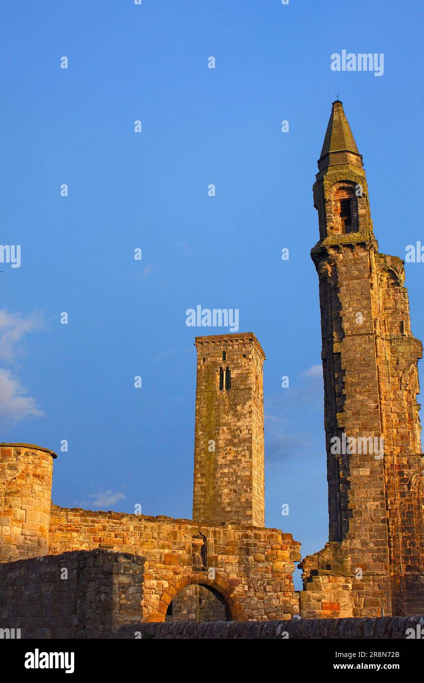 Rovine della chiesa e cattedrale di St. Rules, St Andrews, Fife, Scozia, Regno Unito Foto Stock