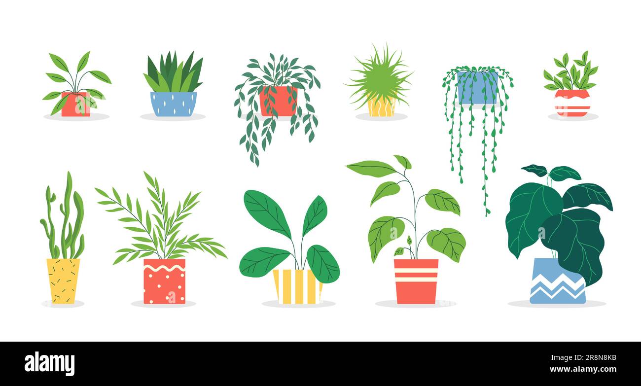 Piante in vaso set Illustrazione Vettoriale